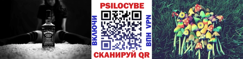 закладки Ряжск Галлюциногенные грибы Psilocybine cubensis